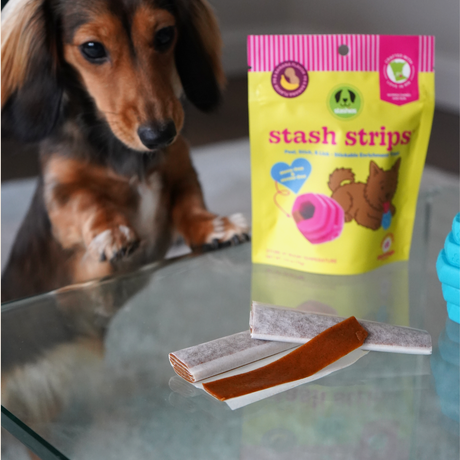 Stash Strips: The New Long-Lasting Dog Treat for Enrichment