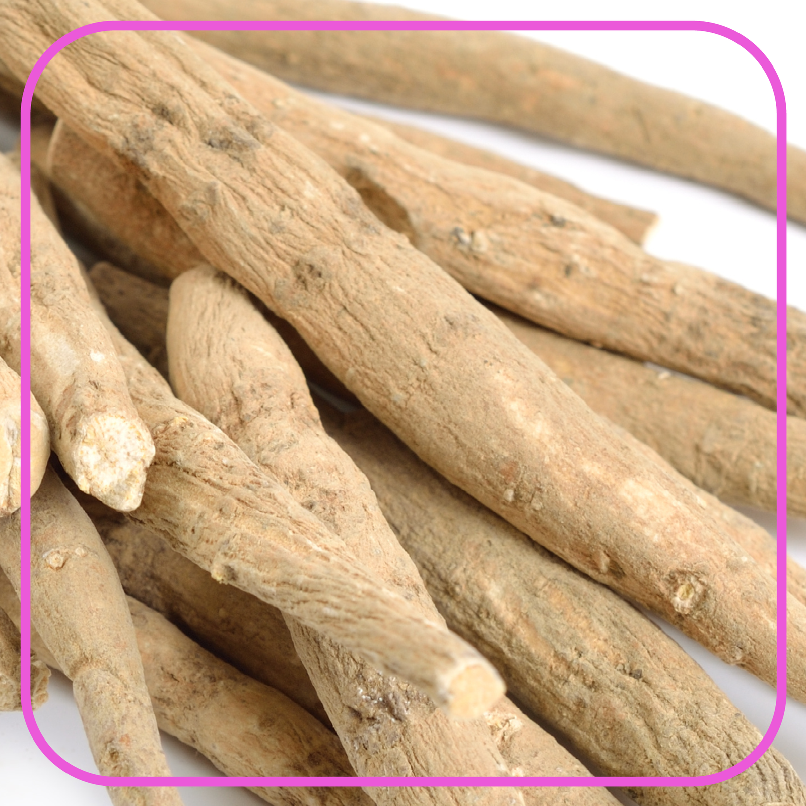 Why Your Pooch Will Love Ashwagandha: Unleashing the Benefits!