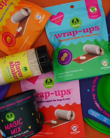 Why Stashios Should Be Your Dog’s New Obsession (and Yours Too)